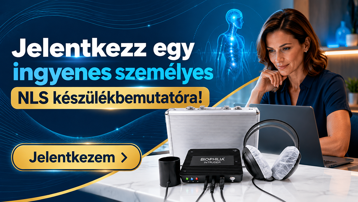 IngyenesNLSbemutato.png